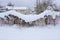 The fence from the grid is overgrown with vegetation under a snowdrift