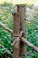 Fence handmade from trees trunk and rope