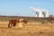 Fence and horses. Behind the fence you can see the cooling towers of the Dukovany nuclear power plant - Czech Republic, Europe.