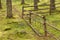 A fence inside a typical forest of the Italian Alps long a mountain path