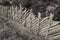 Fence inside a typical forest of the Italian Alps (vintage effect)
