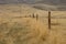 Fence line in the sage brush