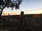 Fence line silhouette barb wire