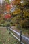 Fence lined trail leads to brilliant fall foliage on draping trees portrait