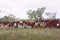 Fence made from empty rusty fuel drums