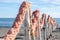 A fence made of wooden logs and rope rope in the sand on the dock on the beach promenade near the sea in Italy