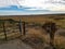 Fence in the meadow to keep the cows and goats in