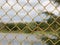 Fence netting