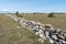 Fence of old traditional stone wall