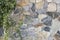 Fence of ornamental stone, ray background stylized in a natural wild stone