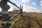 Fence pasture of the poles of trees. Autumn field and beautiful sky