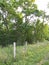 Fence Posts Property Line Trees in Ohio