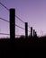 Fence Posts in Silhouette