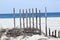 Fence for protection of the dunes at the beautiful natural beach