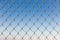 Fence rabitz closeup on blue sky background