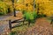 Fence And Road In Autumn