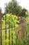 Fence scary Halloween , An old cemetery fenced