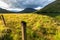 Fence in Scotland