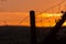 Fence Silhouetted Against Sunset