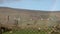 Fence with St. Columba's Church of Ireland in the background, Glencolumbkille - Republic of Ireland