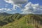 Fence on steep hill under cloudy sky at Tahora Saddle along the Forgotten World Highway in New Zealand.