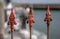 Fence tips in the port of HÃ¶rnum