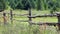 Fence to paddock the animals in the Russian village. Rural summer landscape with wooden fence. Russia