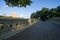 Fence and walkway of Bow bridge and branches under the shade and sunlight in morning