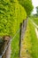 Fence of wooden poles, barbed wire and electrified between leafy bush and a hiking trail