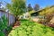 Fenced back yard with child\'s swing and green shed.