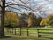 Fenced backyard with colorful trees and a house