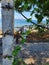 Fenced Beach Front in Sarangani, Philippines