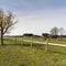 Fenced corral for cattle