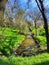 Fenced in grassy creek