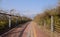 Fenced jogging path in weeds with snow mountain in distance