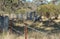 Fenced off cattle property in Australian bush