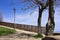 A fenced park with trees and a lamppost overlooking the Mediterranean Sea Marche, Italy