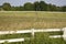 Fenced pastures and rolled hay bales