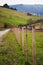 Fenced pastures. Rural landscape