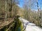 Fenced path next to a water channel leading through a temperate, deciudous beech forest