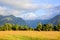 Fenced place for walking cows. Haast, New Zealand