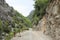 Fenced trail in gorge among mountains covered by green pine forest.