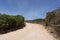 Fenced unpaved road and plants under the blue sky in Formentera