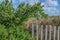 Fenced Vegetation on the Florida Coast3