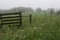 Fenceline on an Appalachian farm