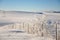 Fenceline In Frost and Snow