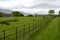 Fencerow cuts across green, lush fields near Killarney National Park, County Kerry, Ireland.