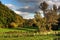 Fences and pasture