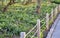 fencing the flowerbed with wooden square posts with ropes separates the pavement from the flower bed