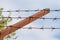 Fencing of a prison with barbed wire